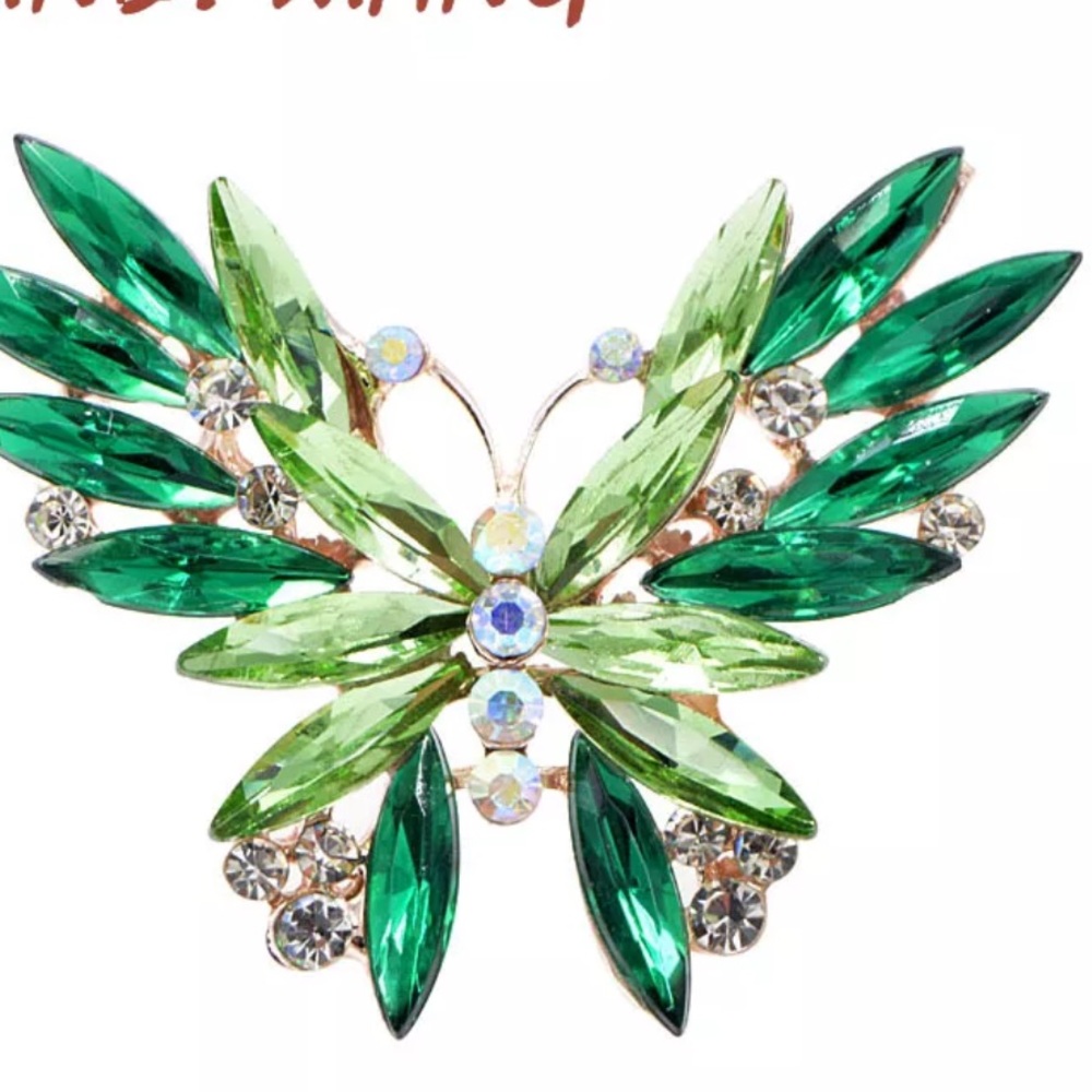 Butterfly 🦋 Brooch